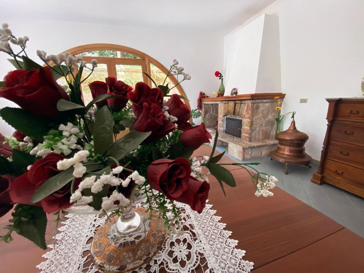 Achille Home B&B Sorrento Dış mekan fotoğraf