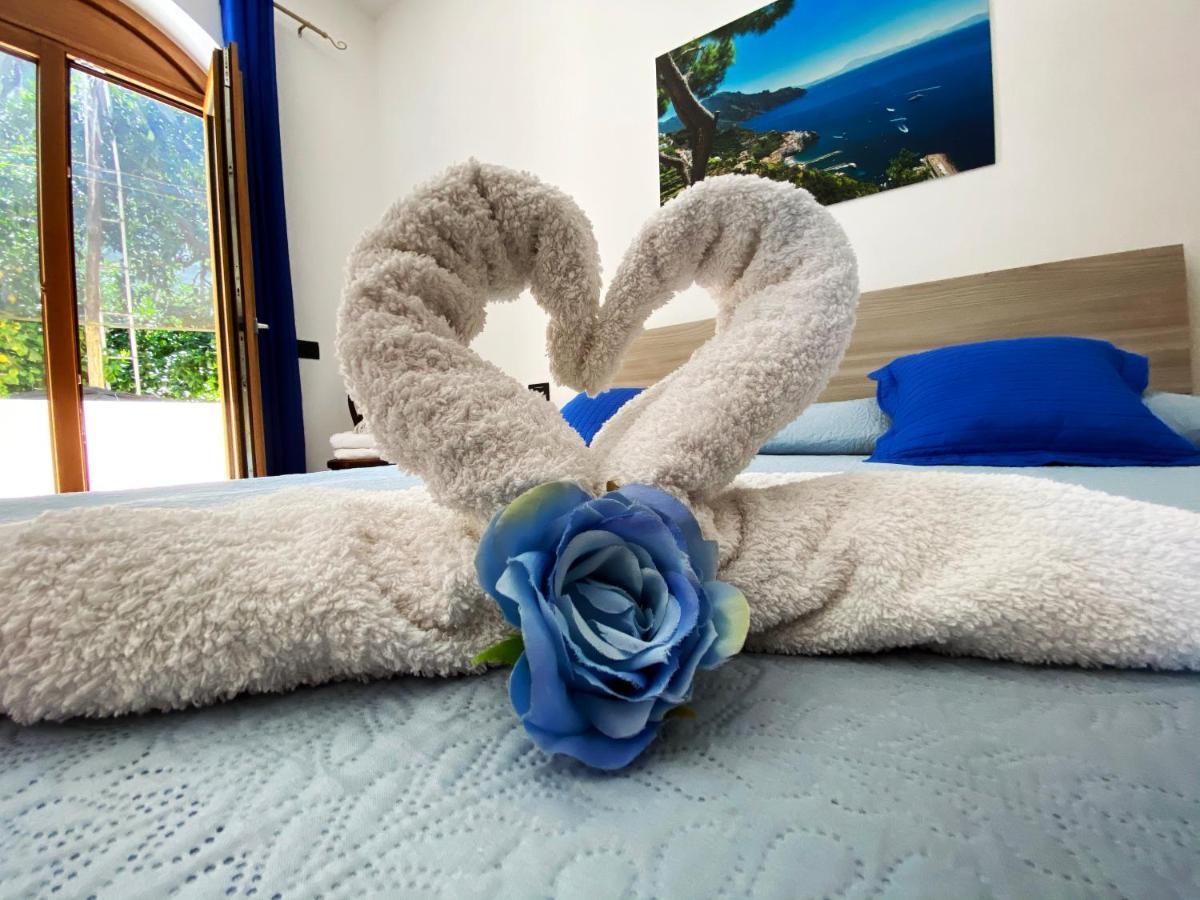 Achille Home B&B Sorrento Dış mekan fotoğraf