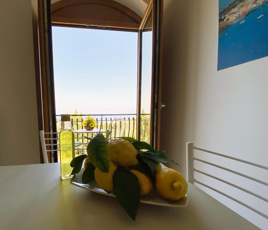 Achille Home B&B Sorrento Dış mekan fotoğraf
