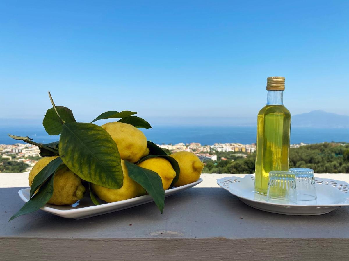 Achille Home B&B Sorrento Dış mekan fotoğraf